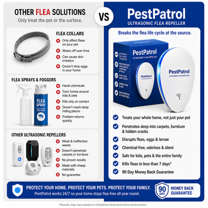 PestPatrol - Stop Fleas Before They Take Over Your Home